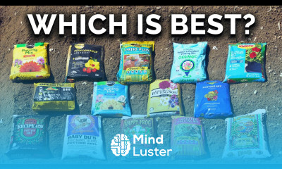 We Tested 14 Different Potting Soils Here s What We Learned