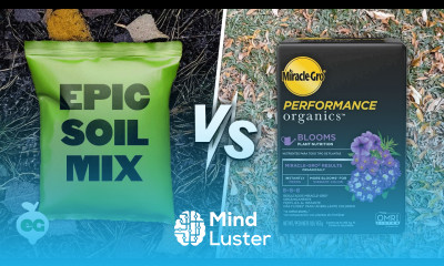 Can We Make a Better Soil Mix Than The Big Box Store