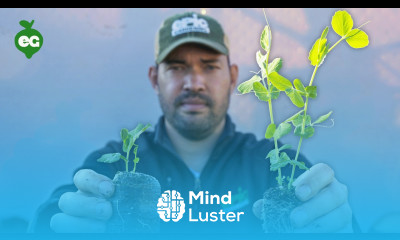 We Tested 8 Seed Starting Mixes Here s What We Learned