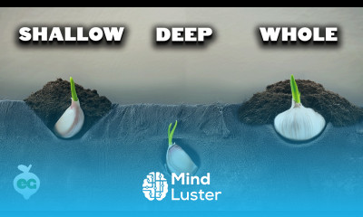 We Grew Garlic 7 Different Ways Here s What Happened 