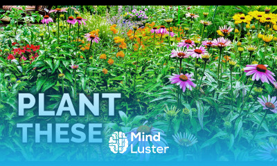 How to Plant a Pollinator Garden