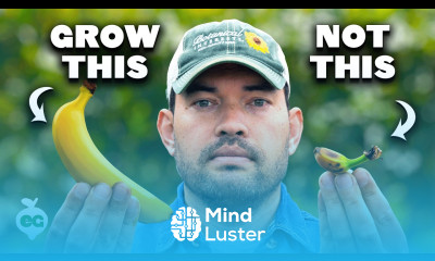 Watch This BEFORE You Grow Bananas 