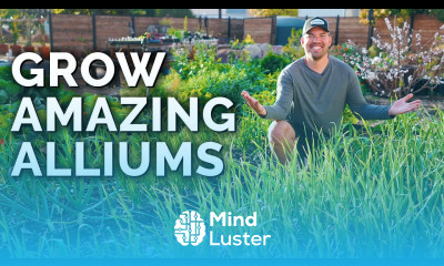 8 Tips to Grow Perfect Onions Garlic and Leeks