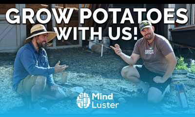 Plant Potatoes With Us The Most Delicious Fall Crop