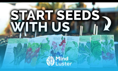 Starting the First Seeds of the Season