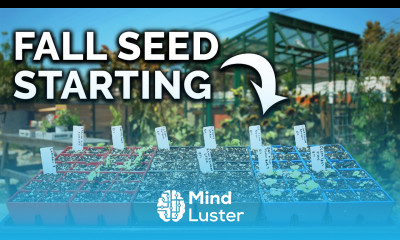 What I m Planting In My Fall Garden