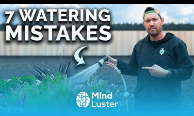 7 Watering Mistakes You re Probably Making