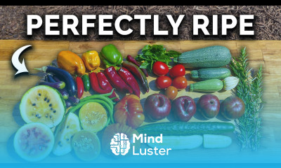 When How To Harvest Your Summer Crops for PEAK Flavor 