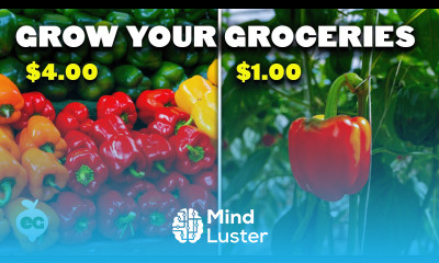 Grow These 12 Crops to Cut Your Grocery Bill 