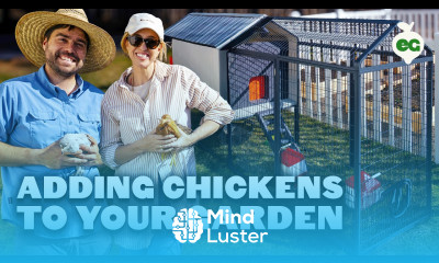 We Built the Ultimate Starter Garden and Smart Chicken Coop