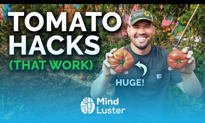 9 Tomato Growing Tips That Actually Work