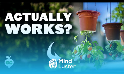 Grow Tomatoes Upside Down With This Simple Method 