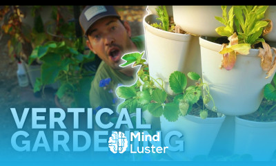 Vertical Gardening 101 GreenStalk Garden Review