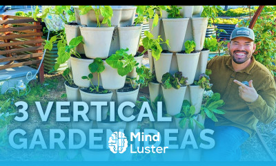 Grow THESE 3 Veggies in Your Vertical Garden