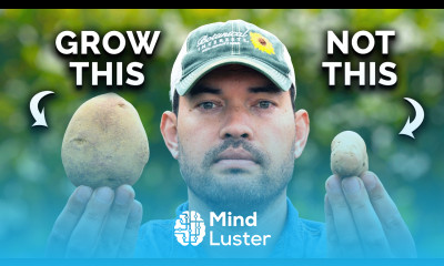 Watch This BEFORE You Plant Potatoes 