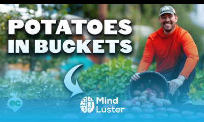 How To Grow Hundreds of Pounds of Potatoes in Buckets