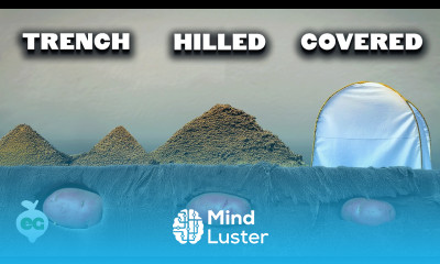 We Grew Potatoes 8 Different Ways Here s What Happened 