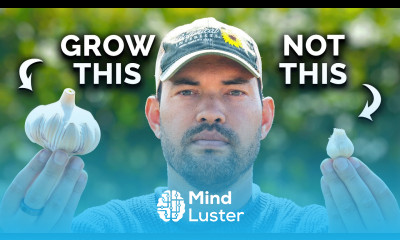 Watch This Before You Plant Garlic