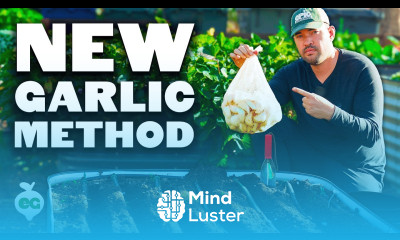 My NEW Favorite Way To Plant Garlic 