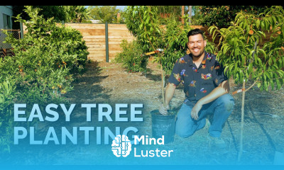 How to Plant Fruit Trees The Complete Guide