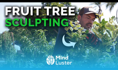 Why I m pruning my fruit trees at the wrong time