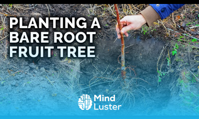 How to Plant a Bare Root Fruit Tree with TomSpellman
