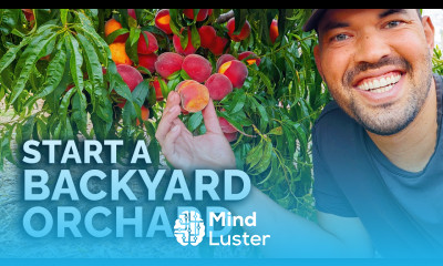 How to Start a Backyard Orchard COMPLETE GUIDE