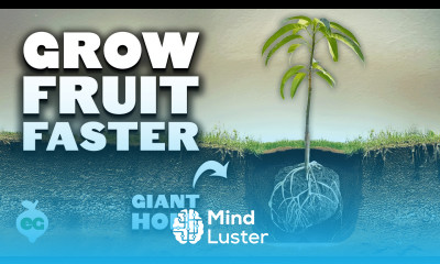 Grow Fruit Trees FASTER With The Multi Year Hole 