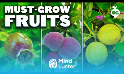 5 Fruits I ll Always Grow In My Garden 