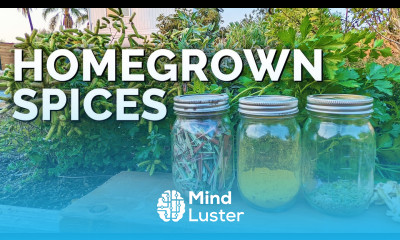 How to Dehydrate Herbs and Make Your Own Spices