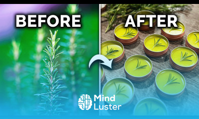 How to Grow Use Your Homegrown Rosemary