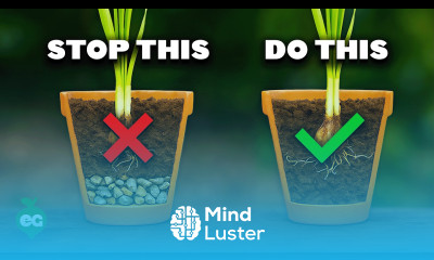 STOP Putting Gravel At The Bottom Of Your Pots