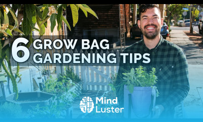 6 Secret Grow Bag Techniques to Maximize Your Results