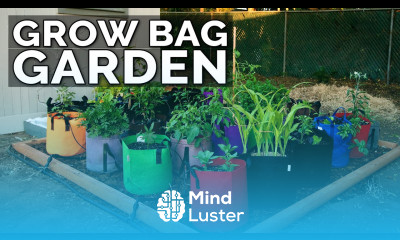 Start a Grow Bag Garden and Water It EASILY