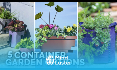 5 Container Gardening Options for Apartment Gardeners