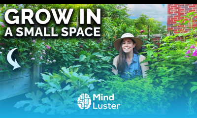 Creating a Balcony Garden For Complete Beginners