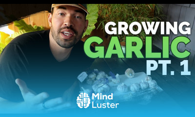 How to Grow Garlic Part 1 Varieties Soil Prep and Planting
