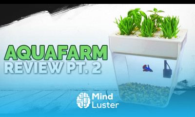 Aquafarm Review Pt 2