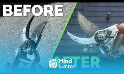 How to Remove Rust From Your Gardening Tools Easily