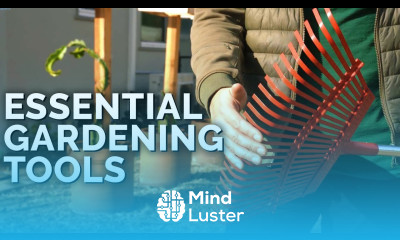 12 Essential Gardening Tools for Beginner and Advanced Gardeners