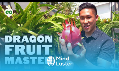 Secret Dragon Fruit Care Tips From a Master Dragon Fruit Grower