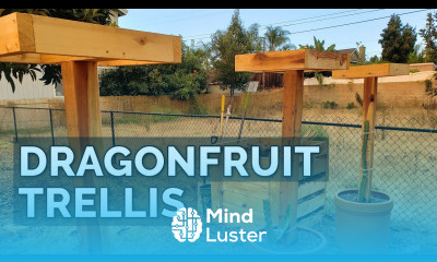How to Build a Dragon Fruit Trellis and Plant Your First Dragon Fruit Cutting