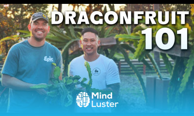 How To Grow Dragon Fruit COMPLETE GUIDE