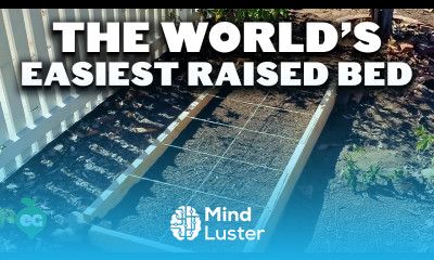 How to Build Cheap DIY Raised Garden Beds In Under 30 Minutes