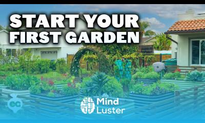 How to Start Your First Garden COMPLETE GUIDE