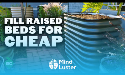 How to Fill a Raised Bed and Save 60 on Soil Costs