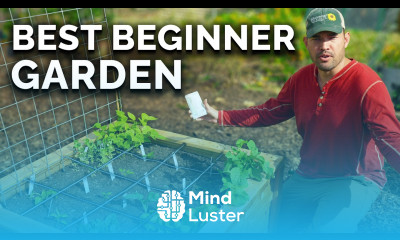 Square Foot Gardening Easiest Way to Grow MORE Food in LESS Space