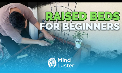 Raised Bed Gardens for Beginners Planning Soil Mix and Planting Guide