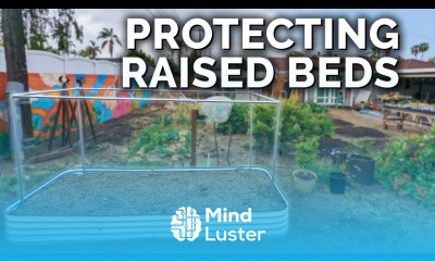 How to Perfectly Pest Proof a Raised Bed