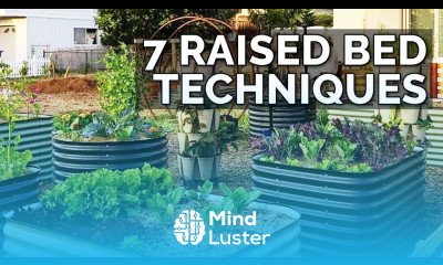 7 Raised Bed Gardening Techniques to Maximize Your Results